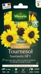 Fleurs - Tournesol Suntastic HF1 - Graines d'Exception - PACKAGING_RECTO